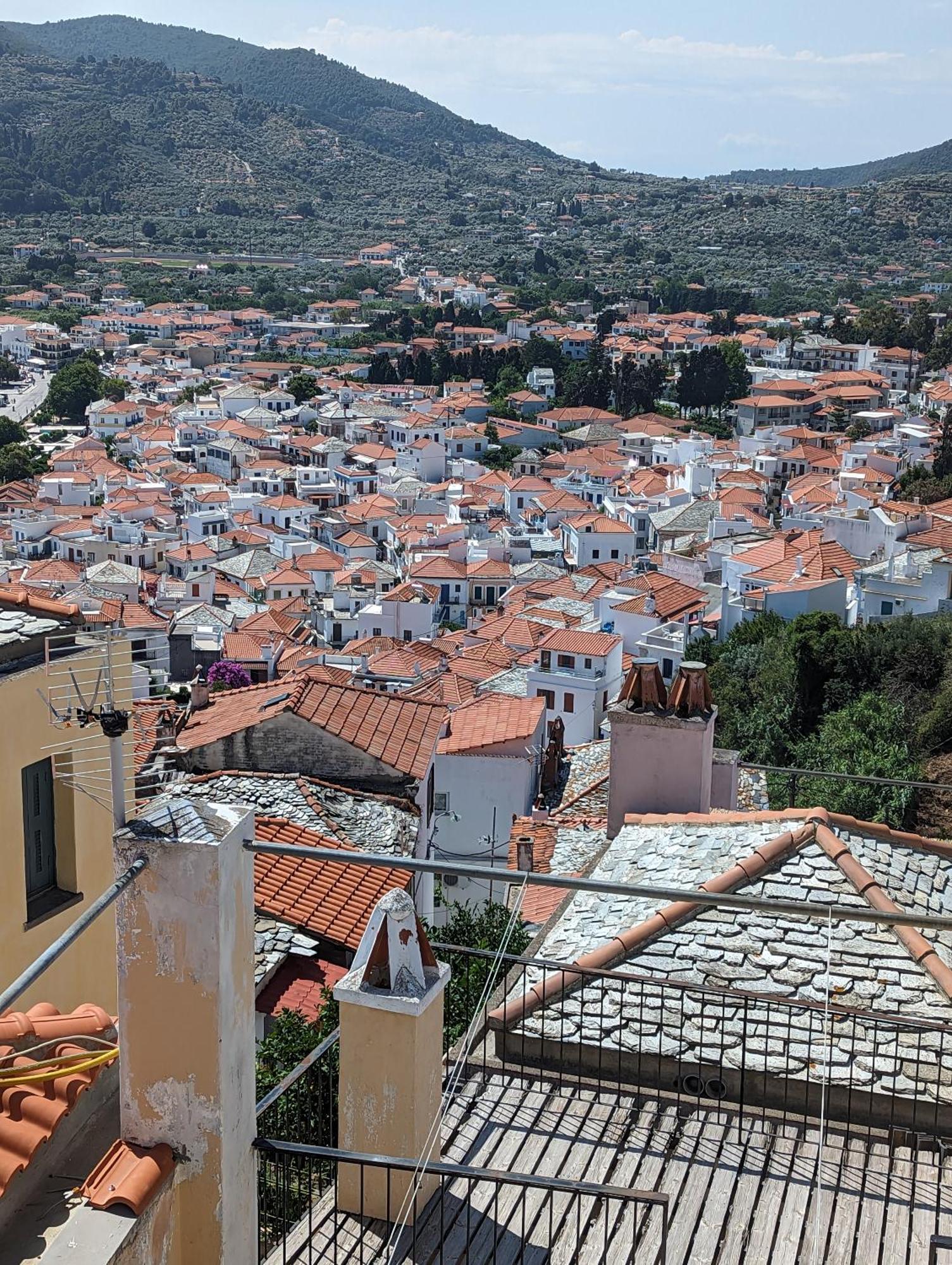 The Botanist Guesthouse Skopelos Exteriér fotografie