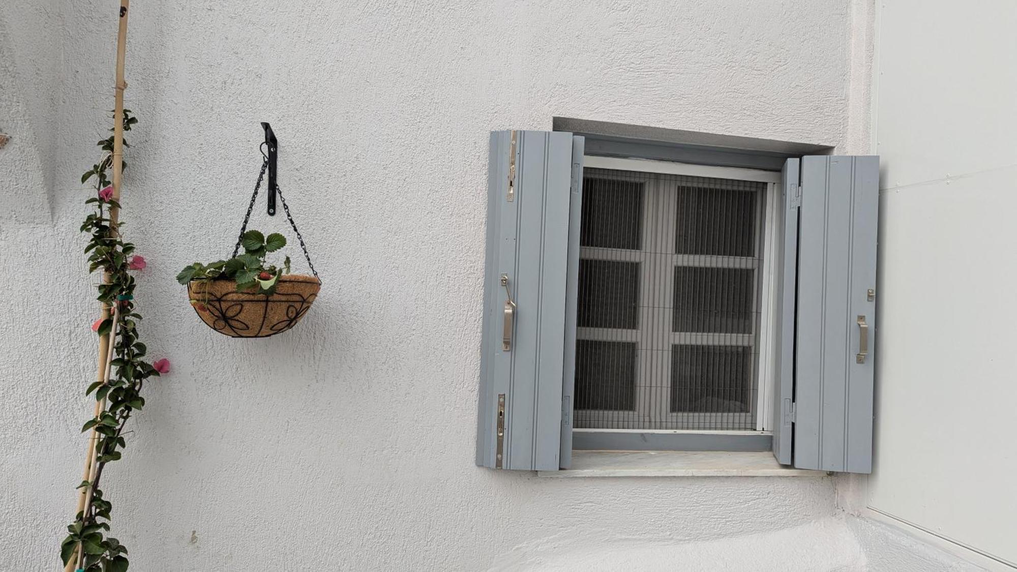 The Botanist Guesthouse Skopelos Exteriér fotografie