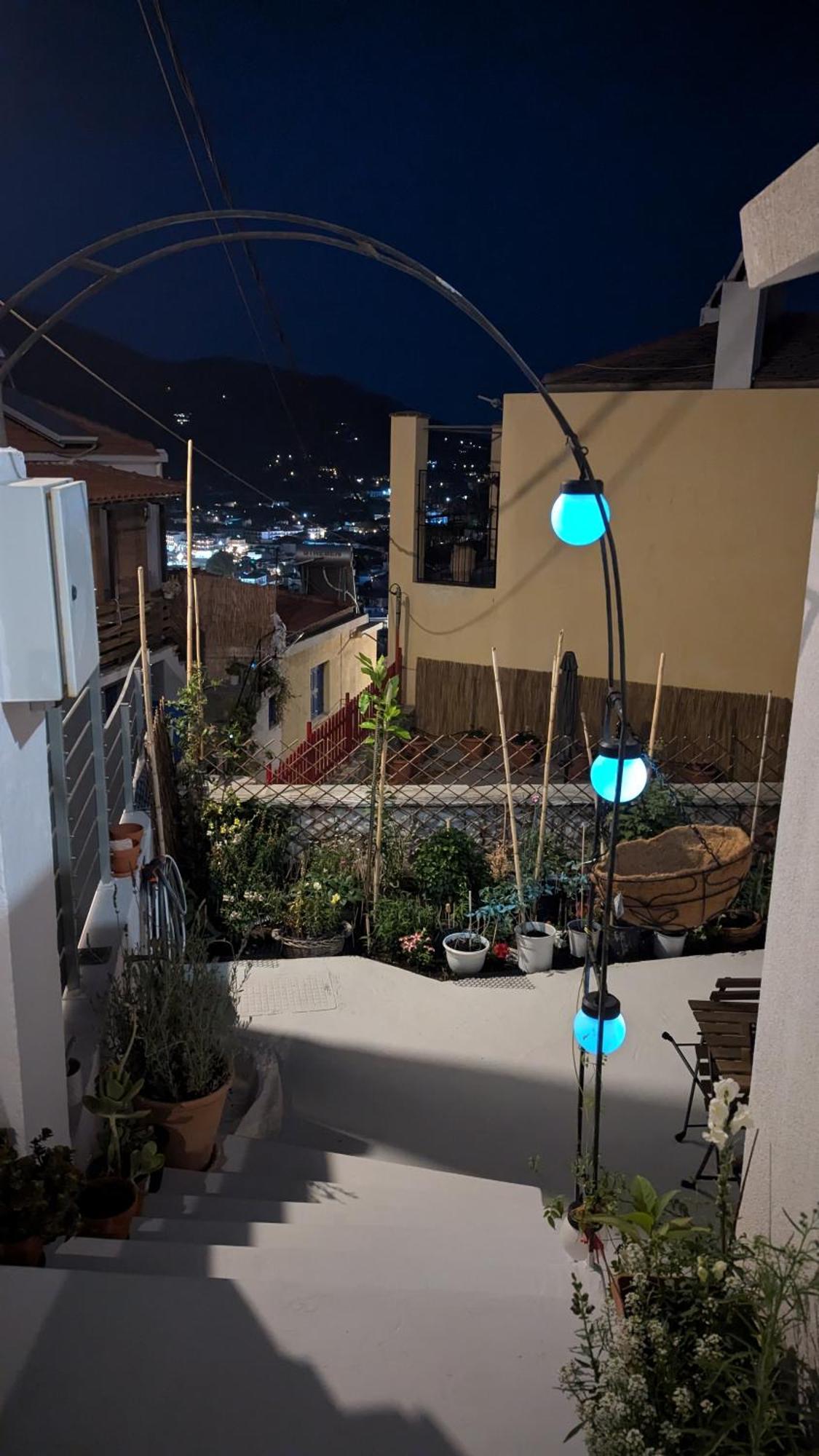 The Botanist Guesthouse Skopelos Exteriér fotografie