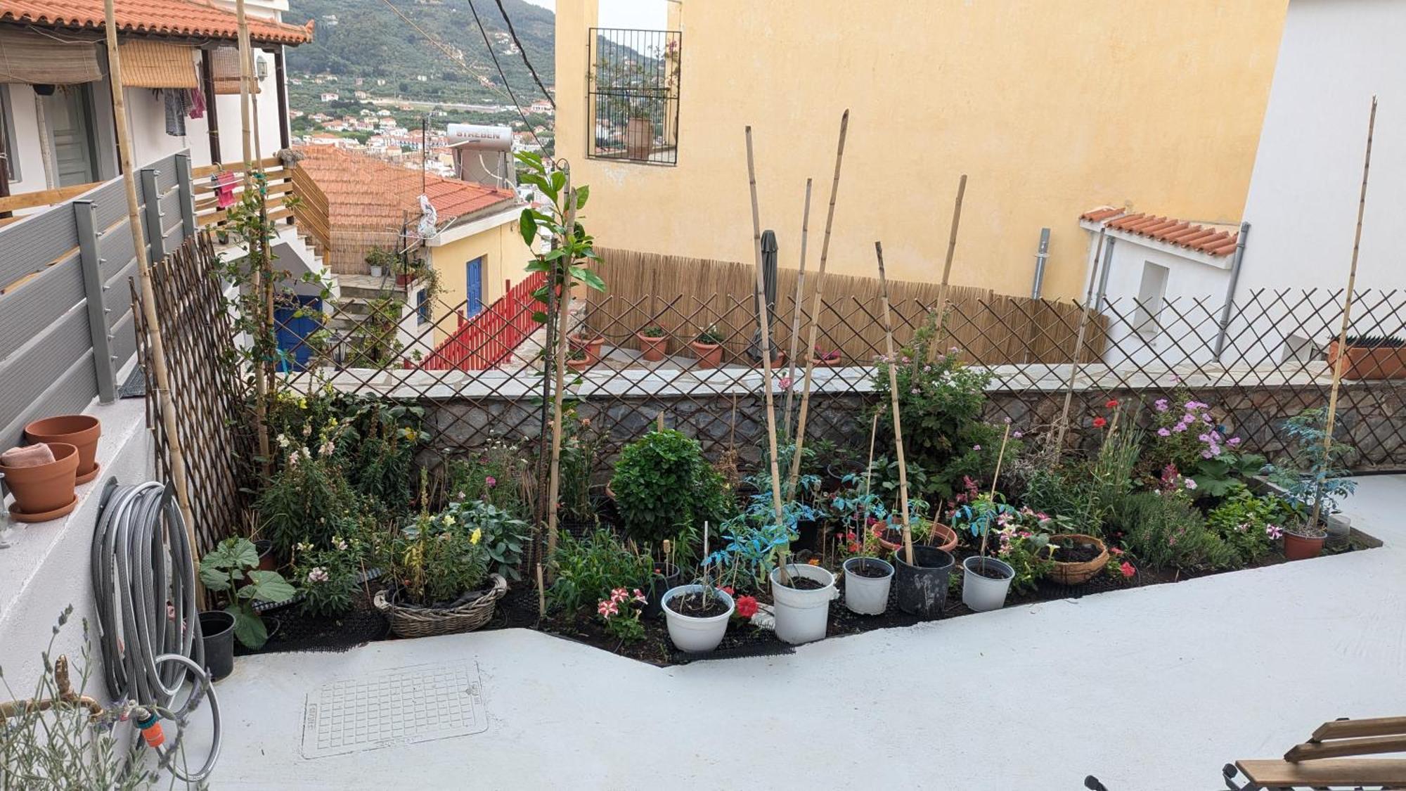 The Botanist Guesthouse Skopelos Exteriér fotografie