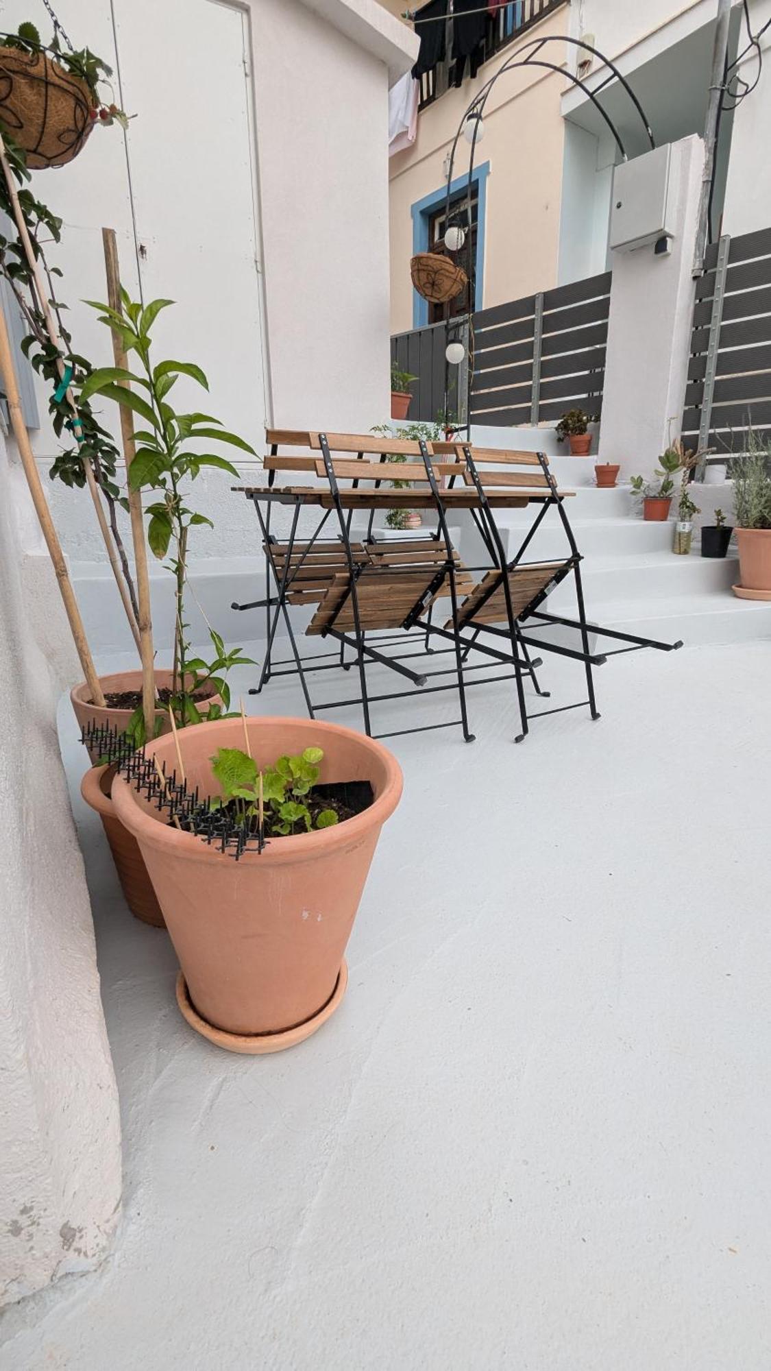 The Botanist Guesthouse Skopelos Exteriér fotografie